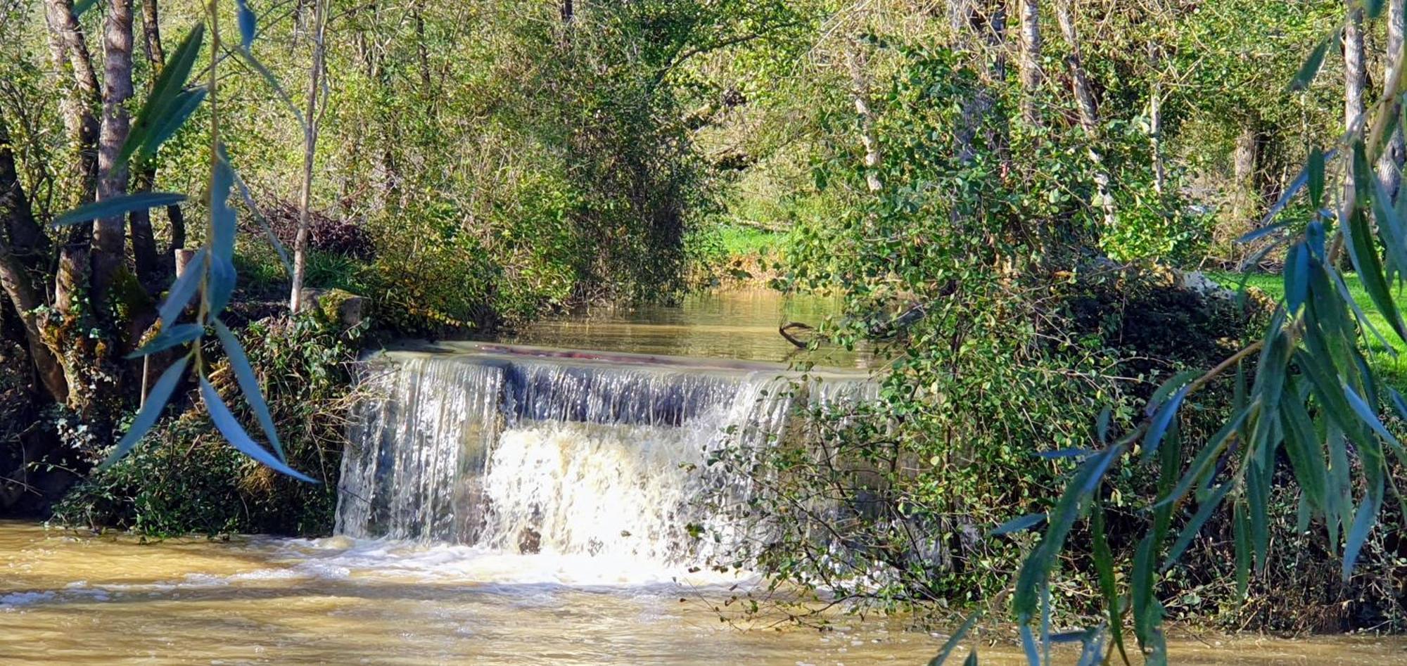 Le Moulin De Laumet Otel Vic-Fezensac Dış mekan fotoğraf